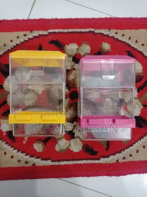 Lovebird Bird Food Bowl