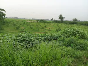জমি বিক্রি হবে