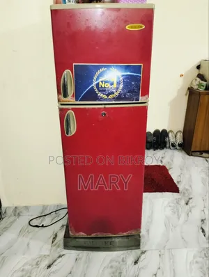২টি ফ্রিজ বিক্রি হবে