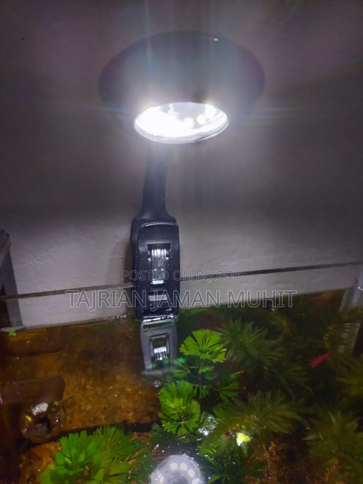 সেমি প্লান্টেড অ্যাকোরিয়াম