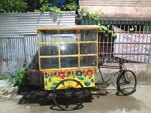 চটপুটিরগারি
