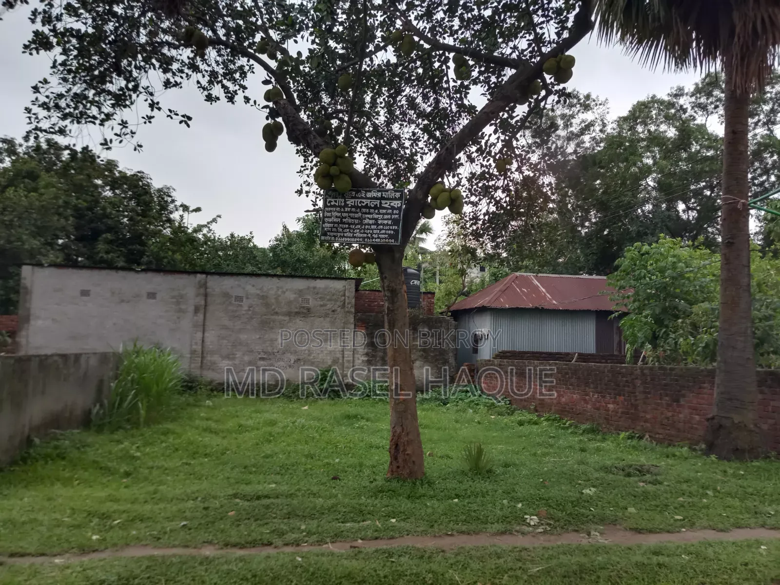 Land Sale