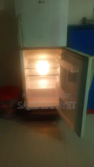 Fridge for Small Family