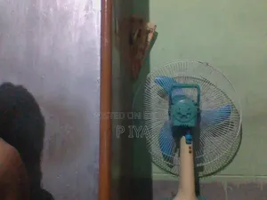 Nto Fan Runs On Battery