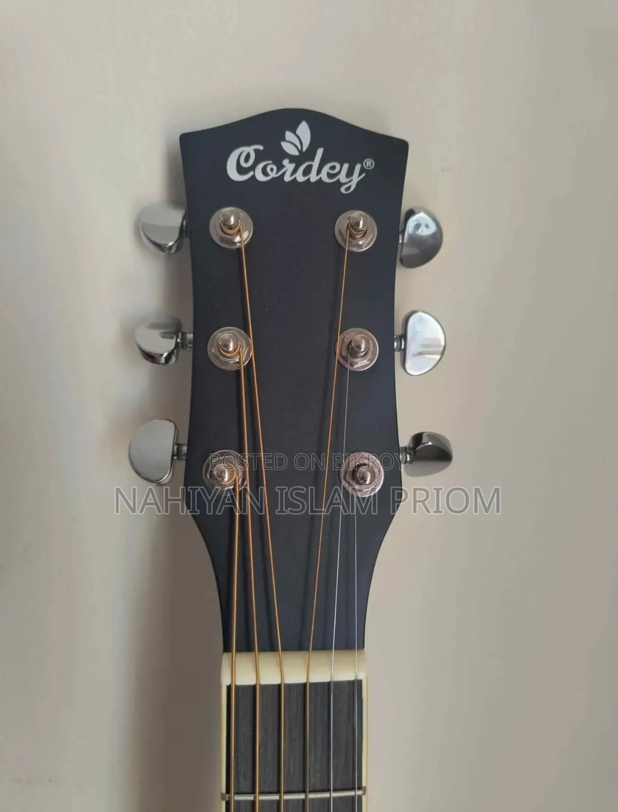 Cordey CR-NP41 Guitar