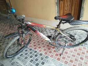 ফিনিক্স, রানিং সাইকেল