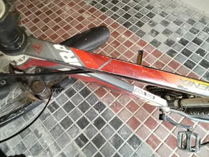 ফিনিক্স, রানিং সাইকেল
