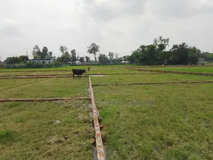 Land for Sale in Bhaluka, Beside Boro Kashor Factory