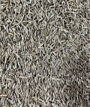 কেএস গোল্ড ফ্রেশ জিরা