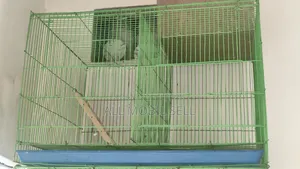 দুই পিস খাঁচা।