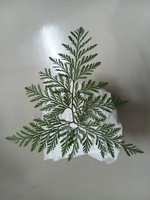 তেতুল গাছ বনসাই ম্যাটেরিয়াল, 