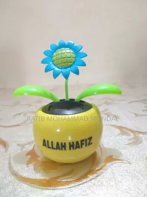 Solar Dancing Flower