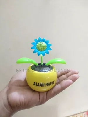 Solar Dancing Flower