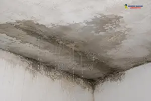 ছাদ ড্যাম্প প্রুফ সলিউশন