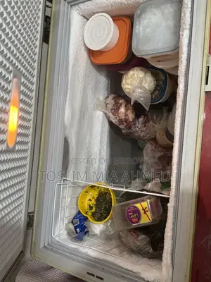 ২০০ লিটার ডিপ ফ্রিজ রানিং