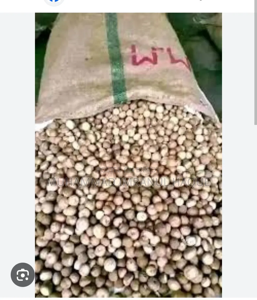 Dry Betel Nut