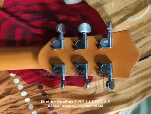 টেস্টি গিটার