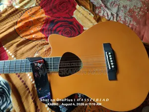 টেস্টি গিটার