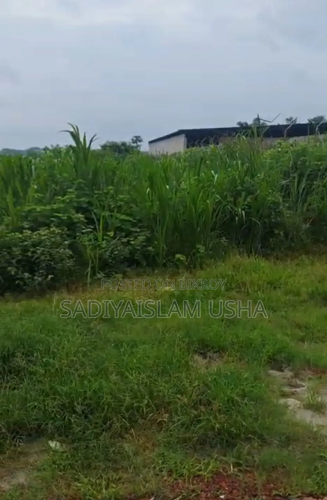Commercial Land for Sale 35 Decimal in Keraniganj | 24 Feet Road