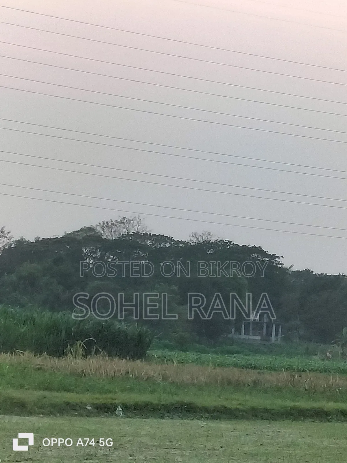 Agricultural Land For Sale – At An Affordable Price!