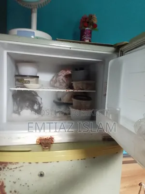 Singer Fridge