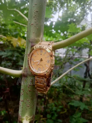 A Binbond brand gold-colored quartz watch.