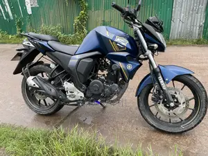 New Yamaha FZS V2 2024 Blue