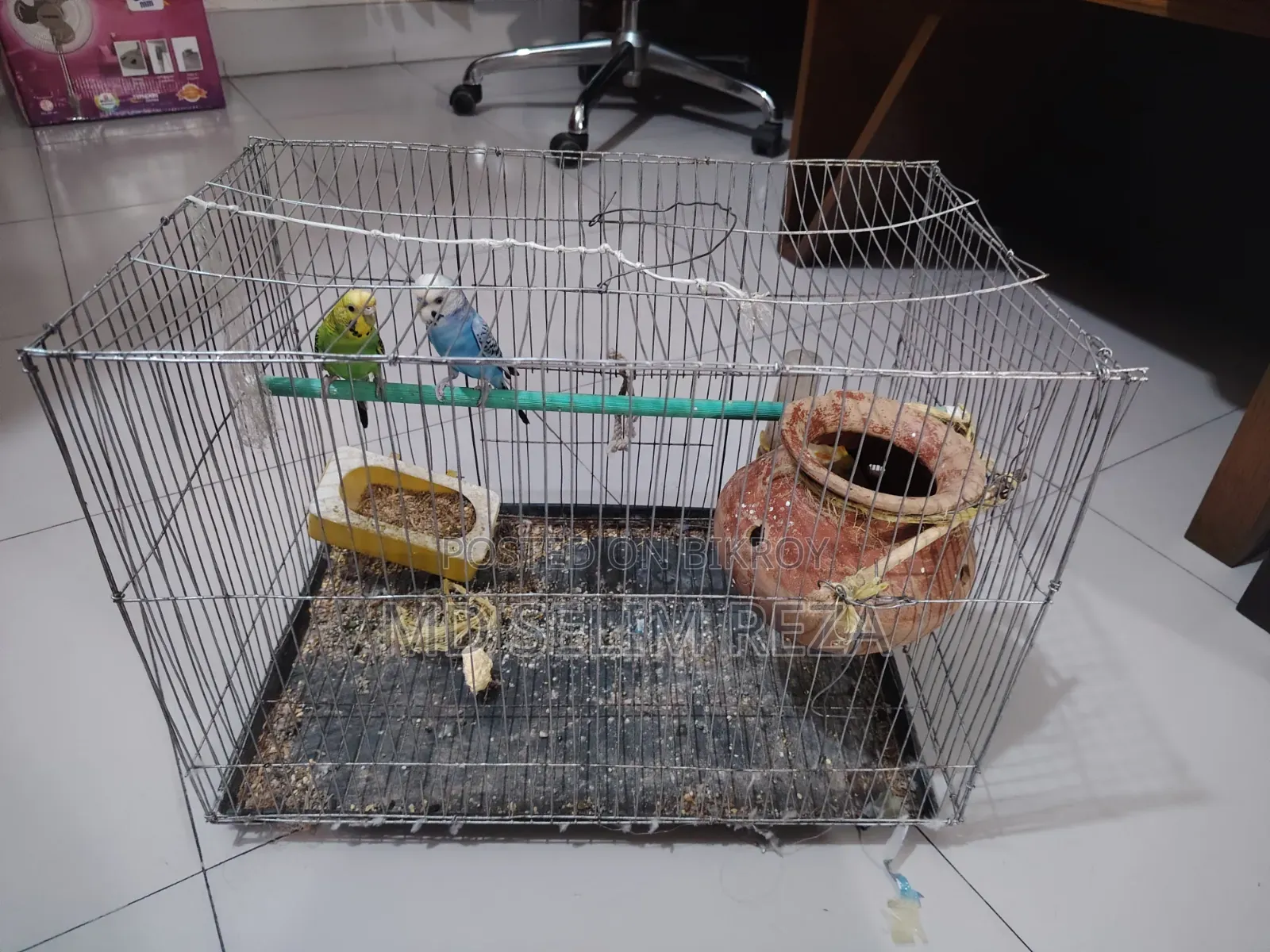 A pair of male and female lovebird birds with cage and food will be sold.