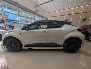 Toyota C-Hr 2019 Pearl