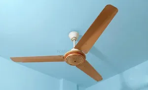 পাক জেএফসি ফ্যান