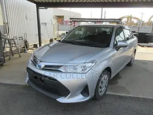 Toyota Axio 2021 Silver