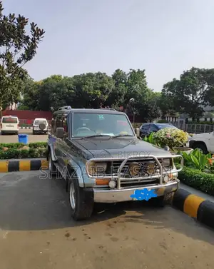 টয়োটা ল্যান্ড ক্রুজার ৭০ ১৯৯৩ ধূসর