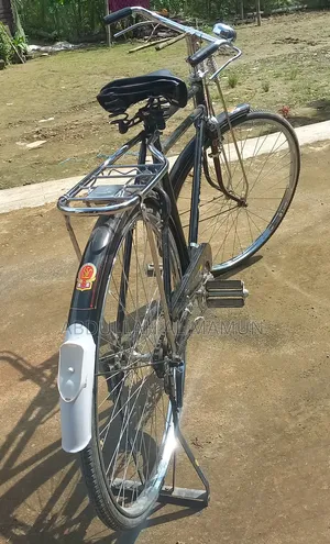 ফিনিক্স সাইকেল