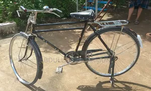 ফিনিক্স সাইকেল