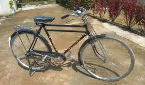 ফিনিক্স সাইকেল