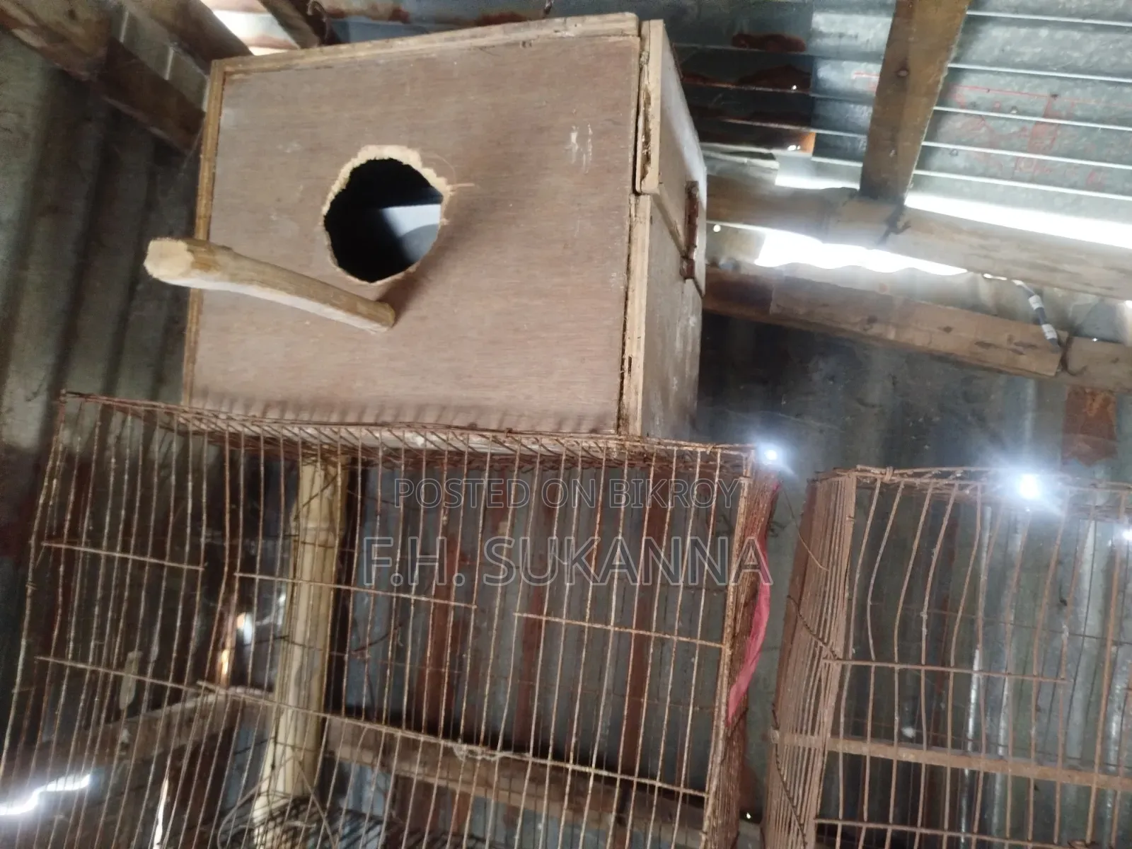 ব্লিডিং বক্স