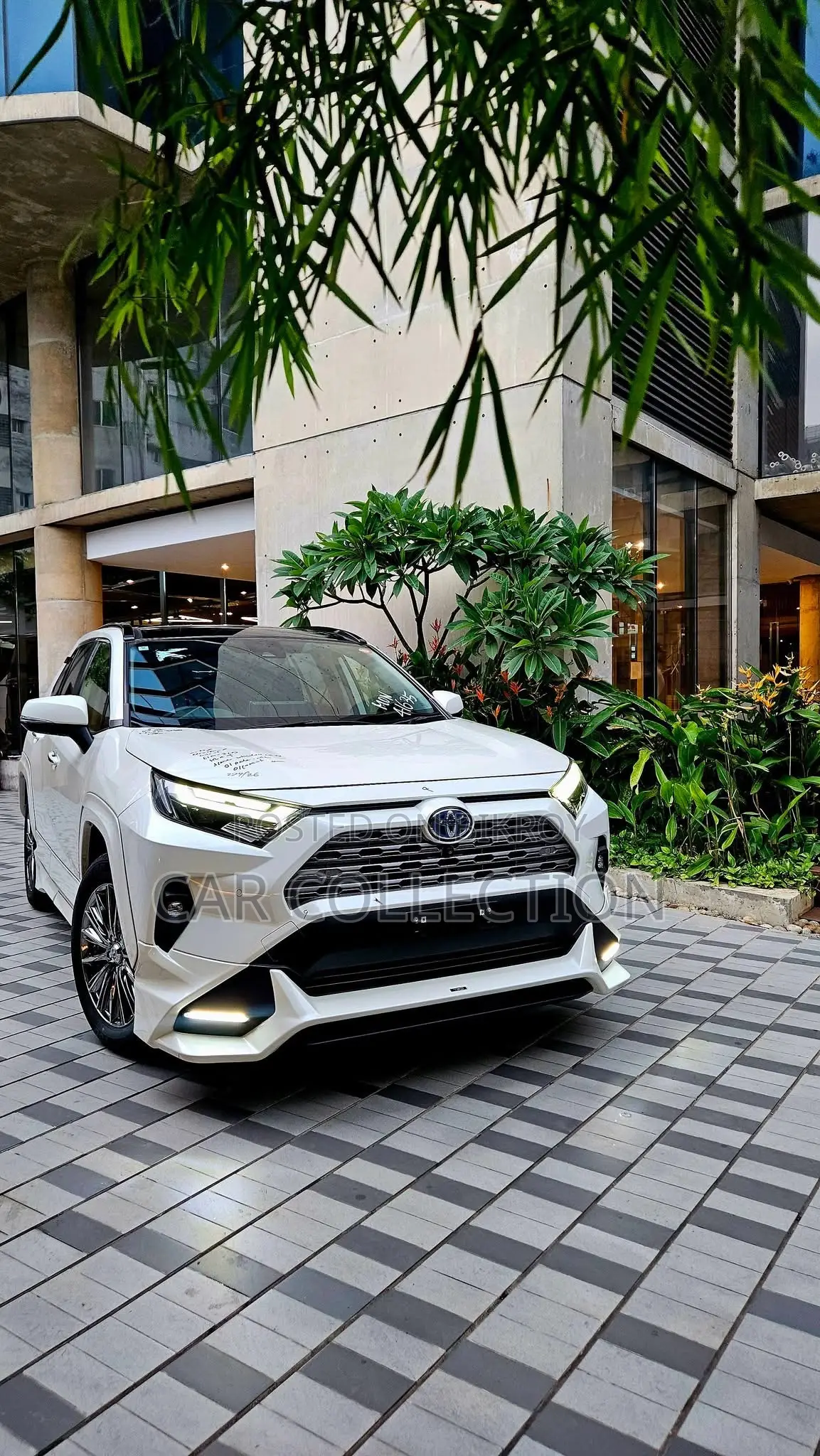Toyota RAV4 XLE Premium 2021 Pearl