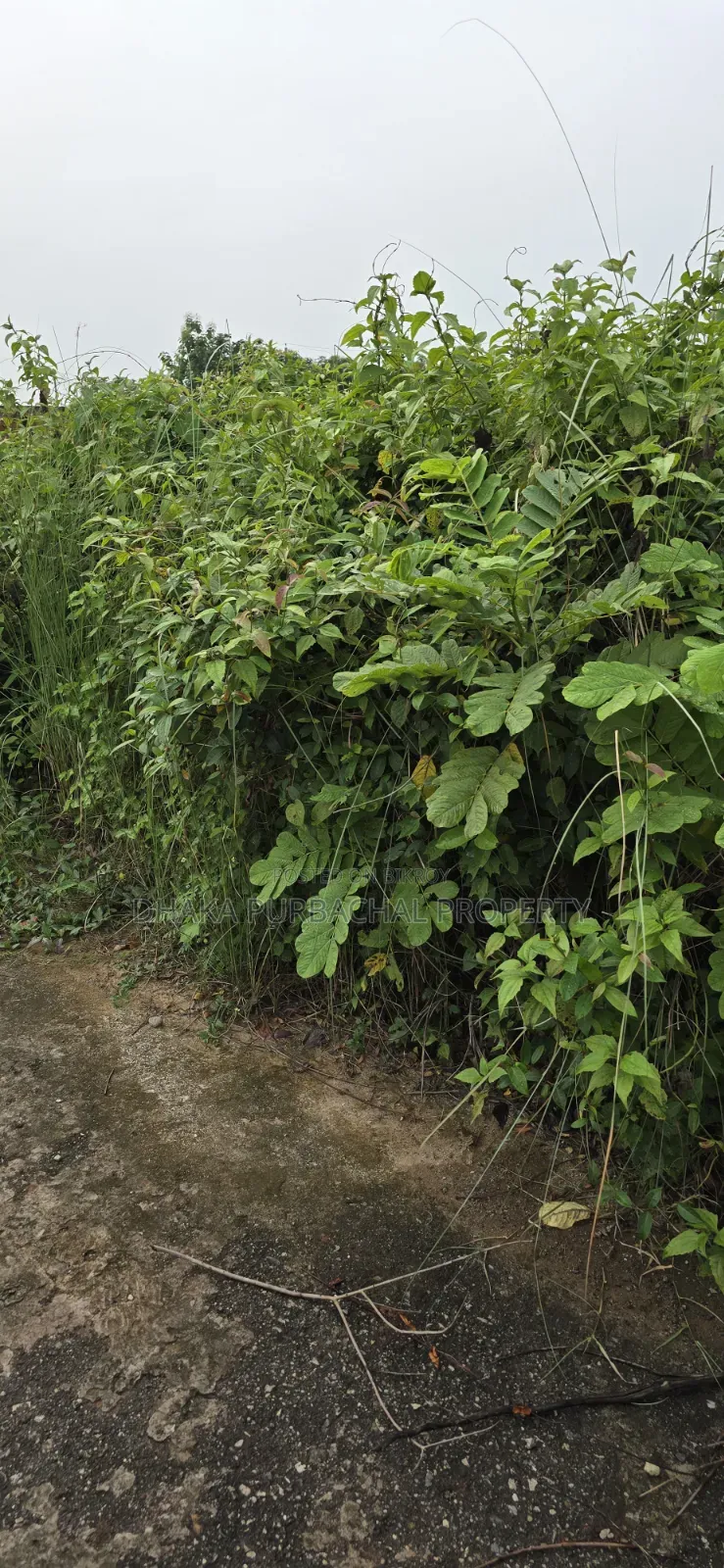 Sector -20, Road -301, Purbachal North