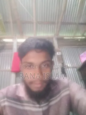 আমি চাকরি/কাজ করতে চাই আমাকে কল করুন