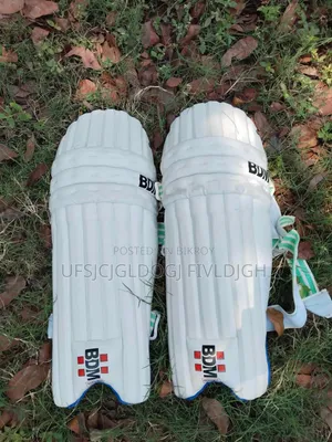 Cricket Bat and football item