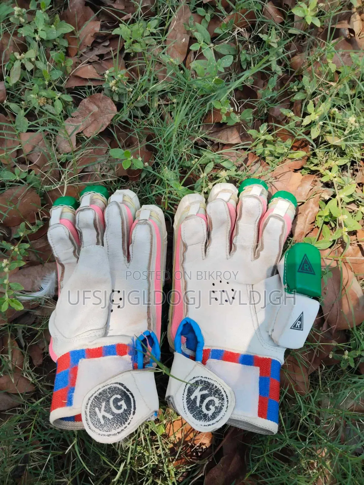Cricket Bat and football item