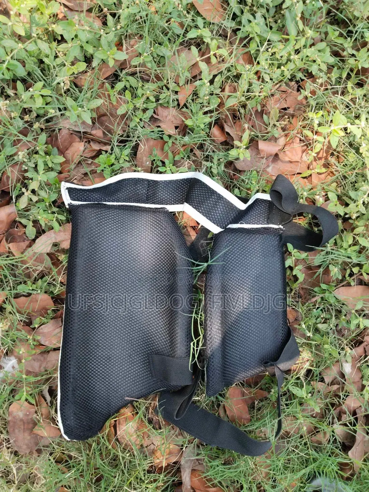 Cricket Bat and football item
