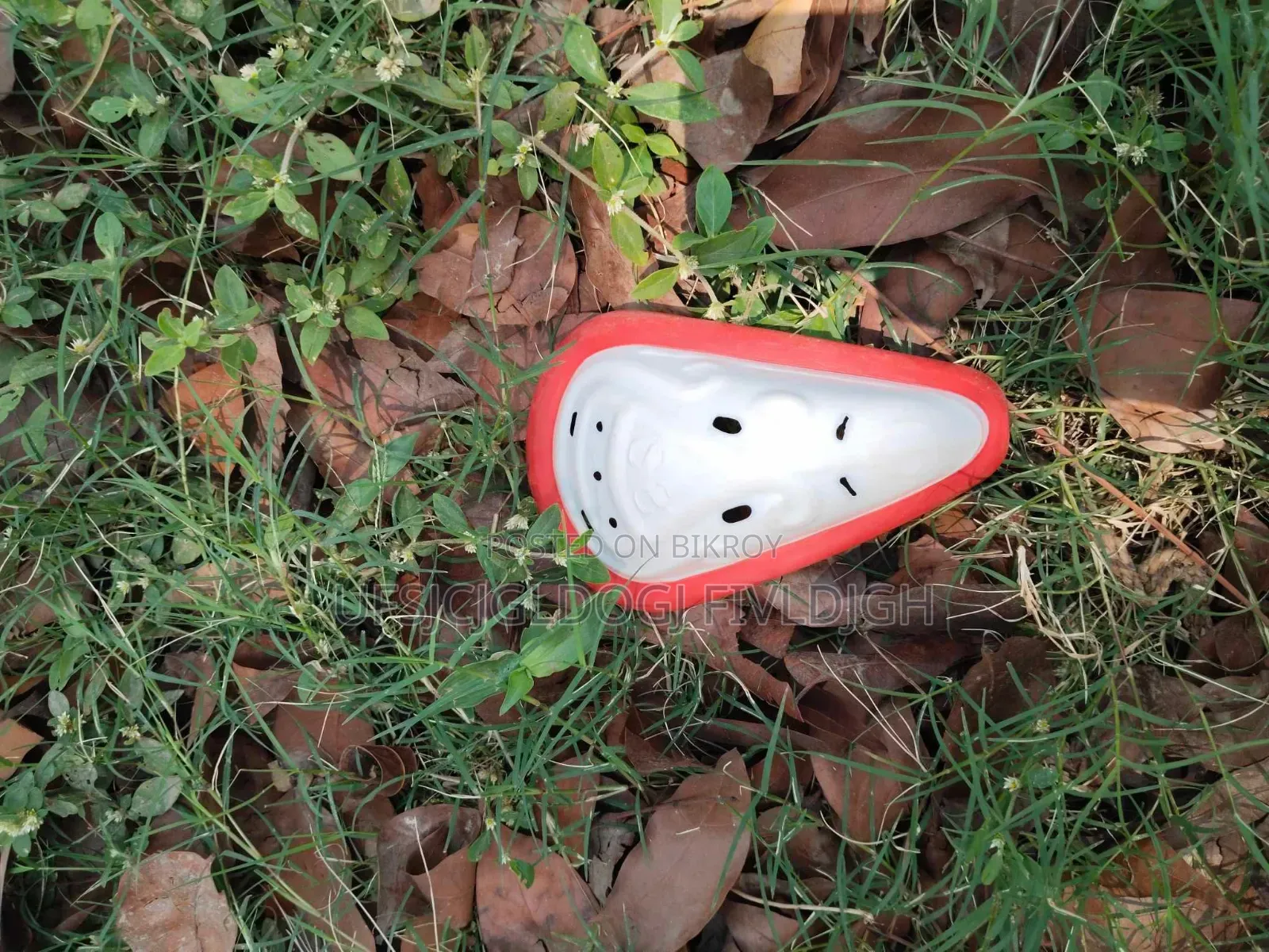 Cricket Bat and football item