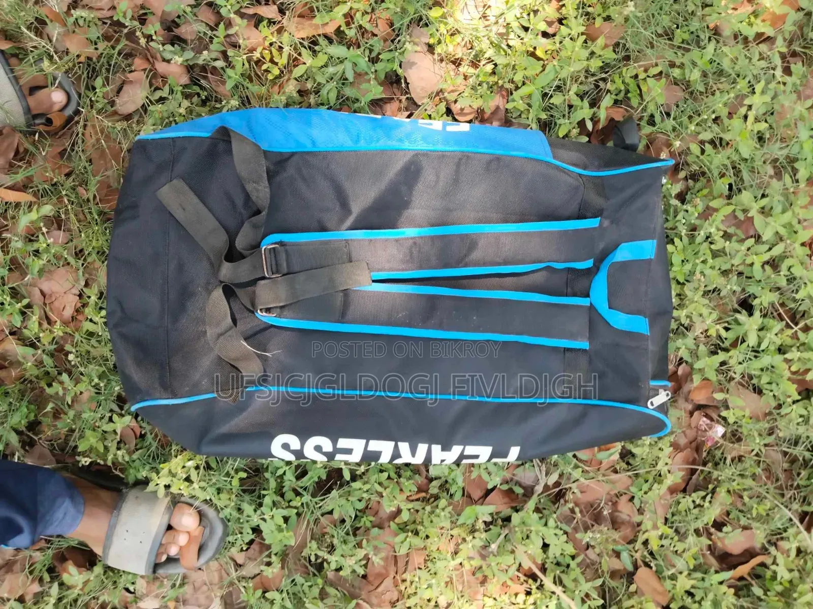 Cricket Bat and football item