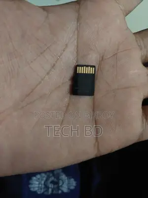 মাইক্রো এসডি কার্ড ২৫৬ জিবি