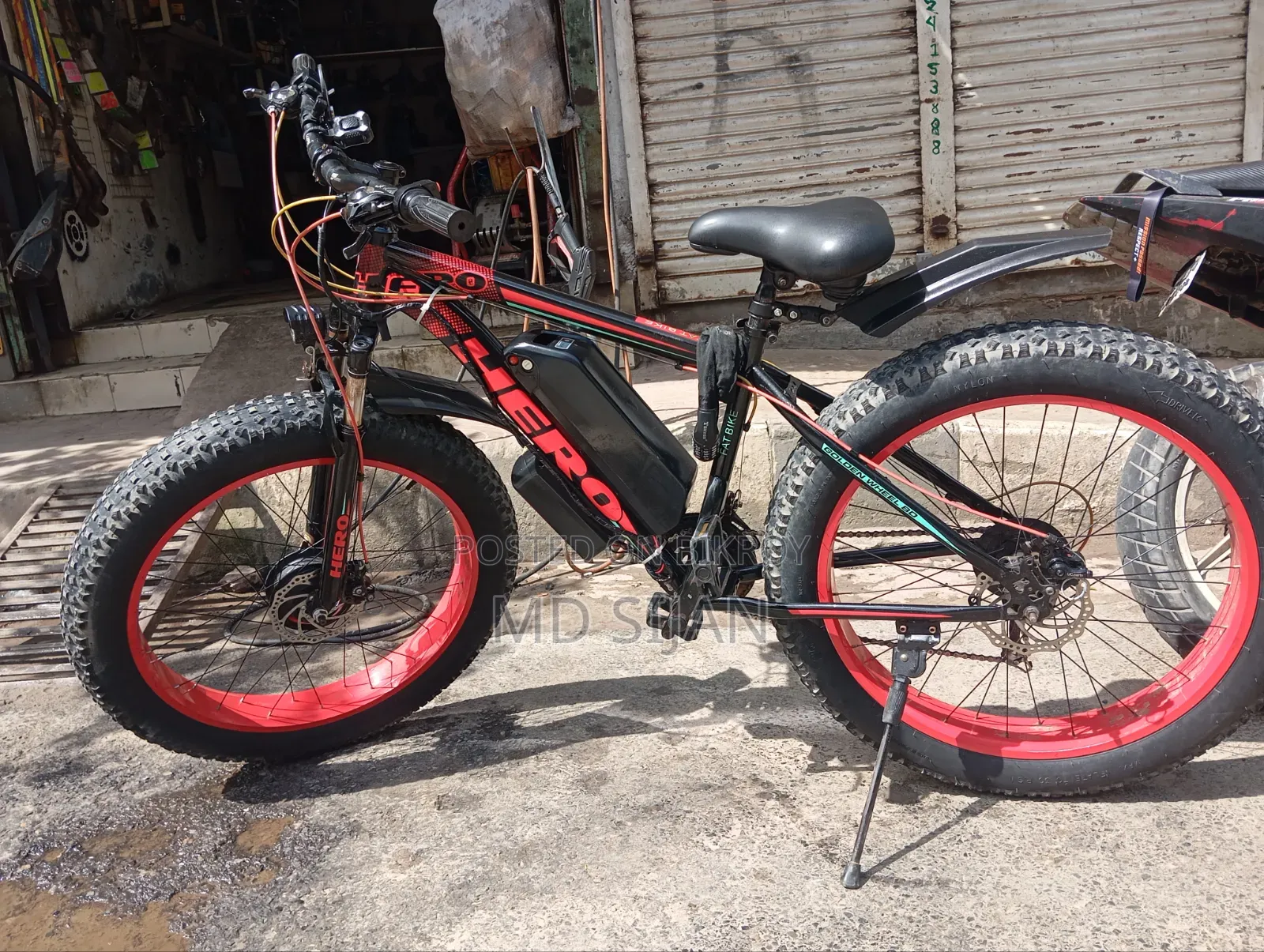 Electric Bicycle