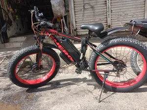 Electric Bicycle