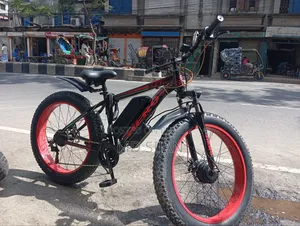Electric Bicycle