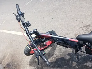 Electric Bicycle
