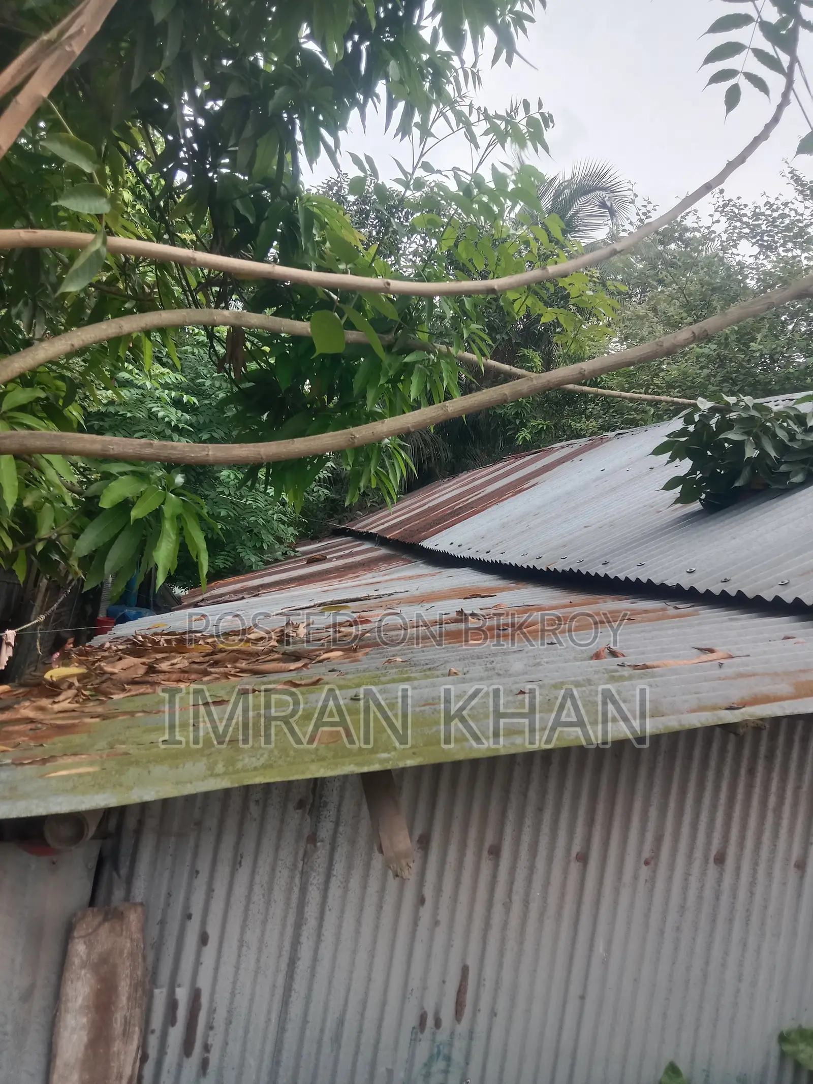 Land for sale in Mongla.